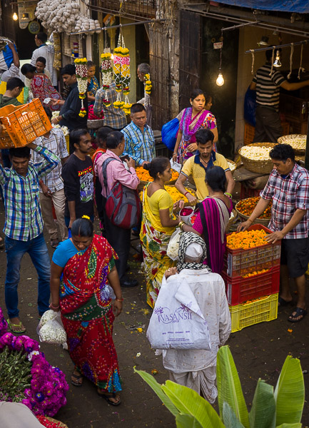 Pepper Harvest Trip • Day 2 Morning • Mumbai India - The Reluctant ...